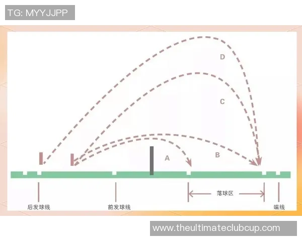 从零起步掌握羽毛球战术技巧全面指南助你成为场上高手