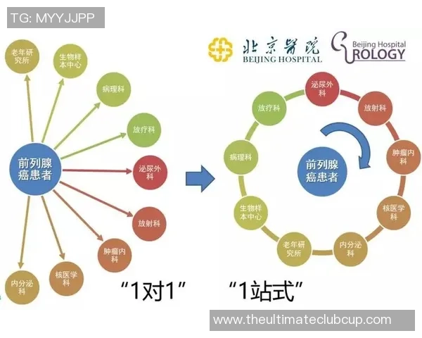 北京足球队团队协作新模式探讨与实践分析