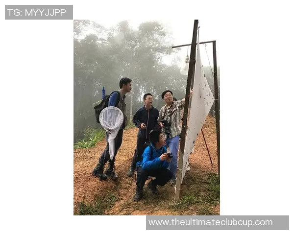 张宁的奋斗历程与成就探索：从普通学子到行业领军人物的成长之路